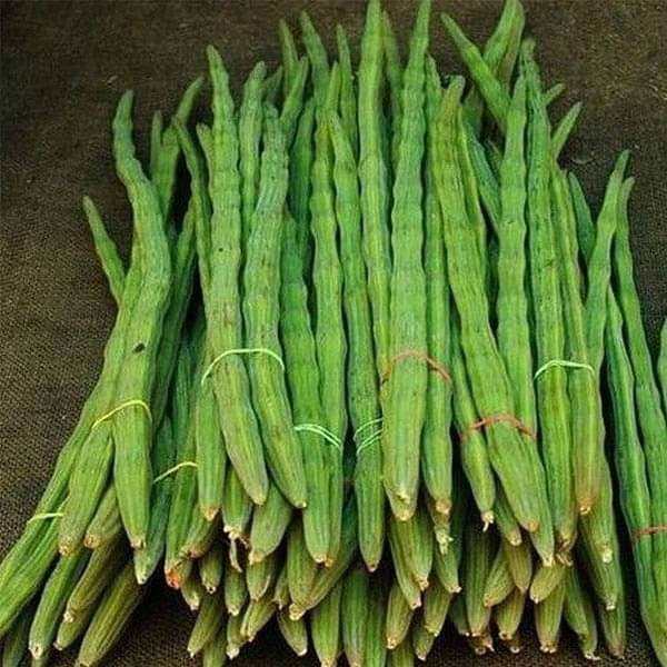 Drumsticks, Moringa kai