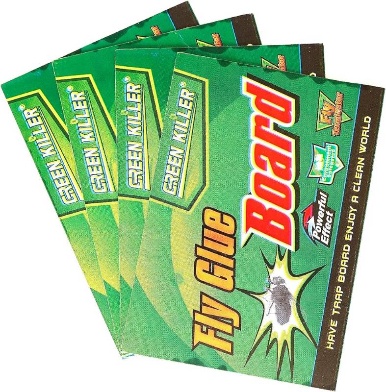Fly Glue Board (Pack of 20)