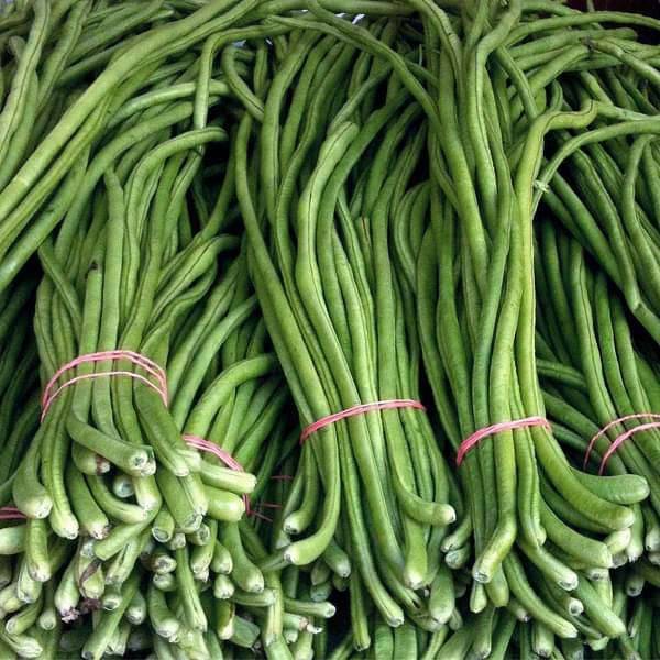 Lobia Beans