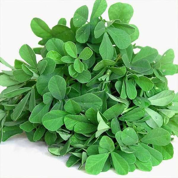 Methi Shalimar Improved