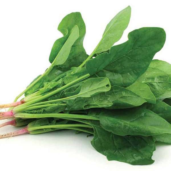 Spinach