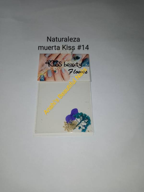 Naturaleza muerta #14