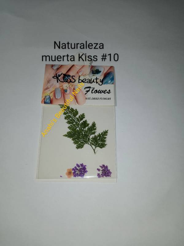 Naturaleza muerta #10
