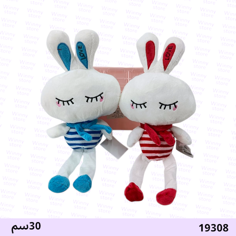 شخصية 19308