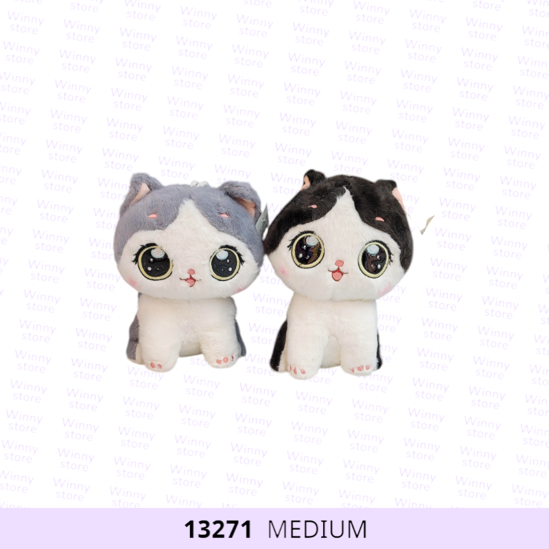 قطة وسط13271