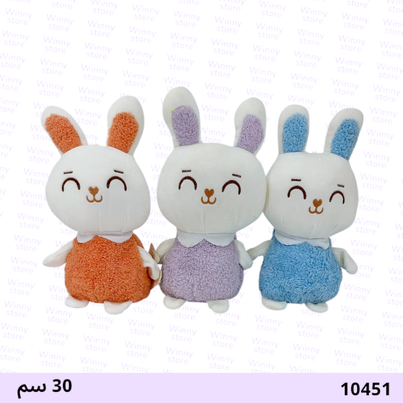 شخصية أرنب 10451