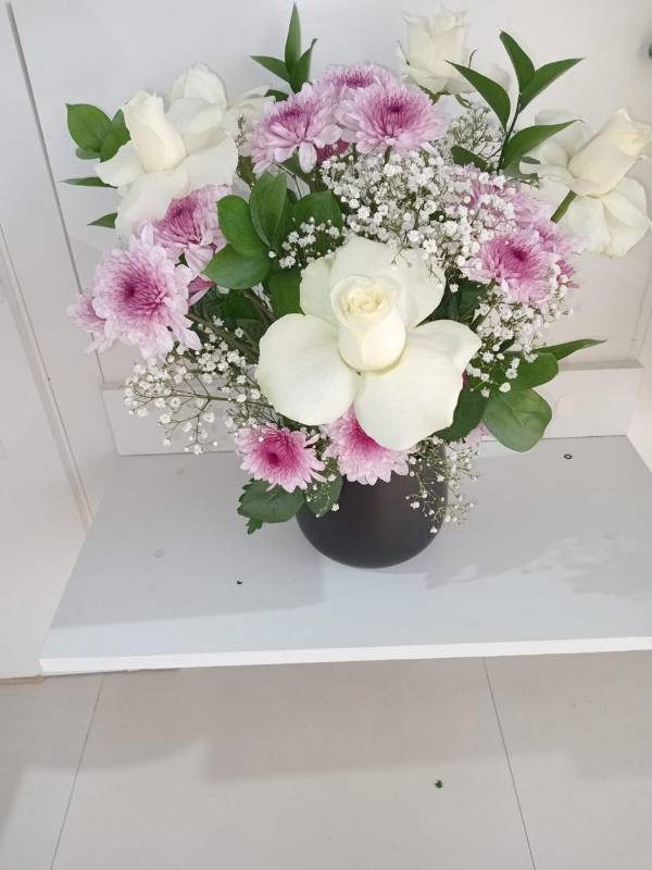 ورود راقية أبتداء من