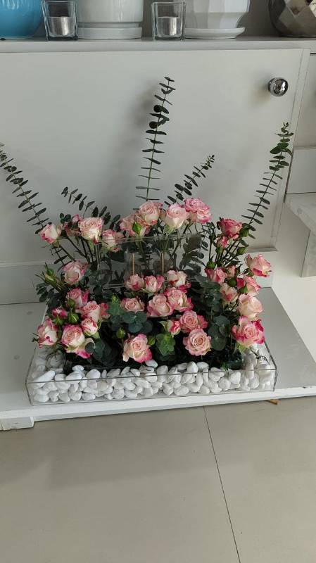 ورود مدهشة أبتداء من