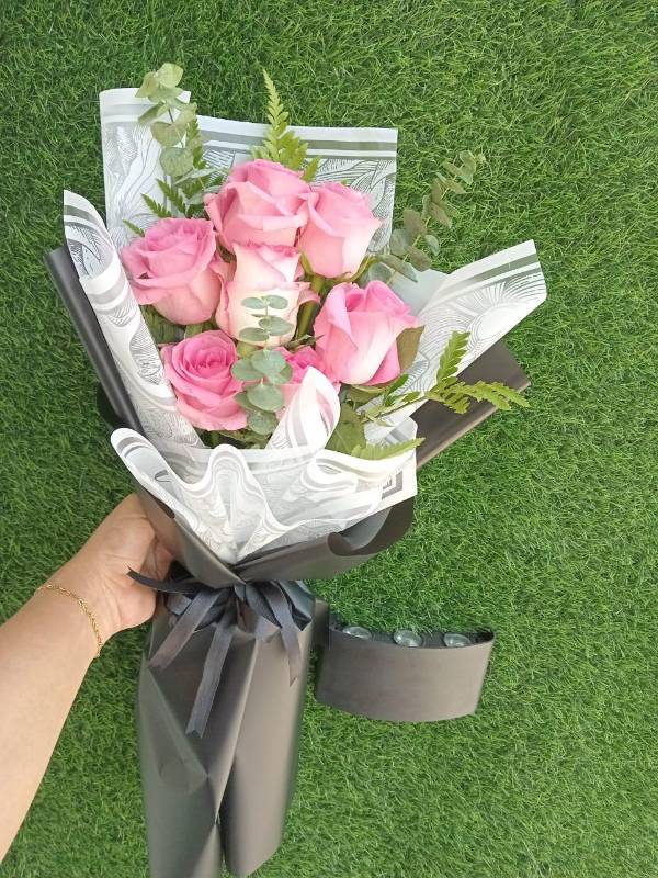 ورود ناعمة أبتداء من