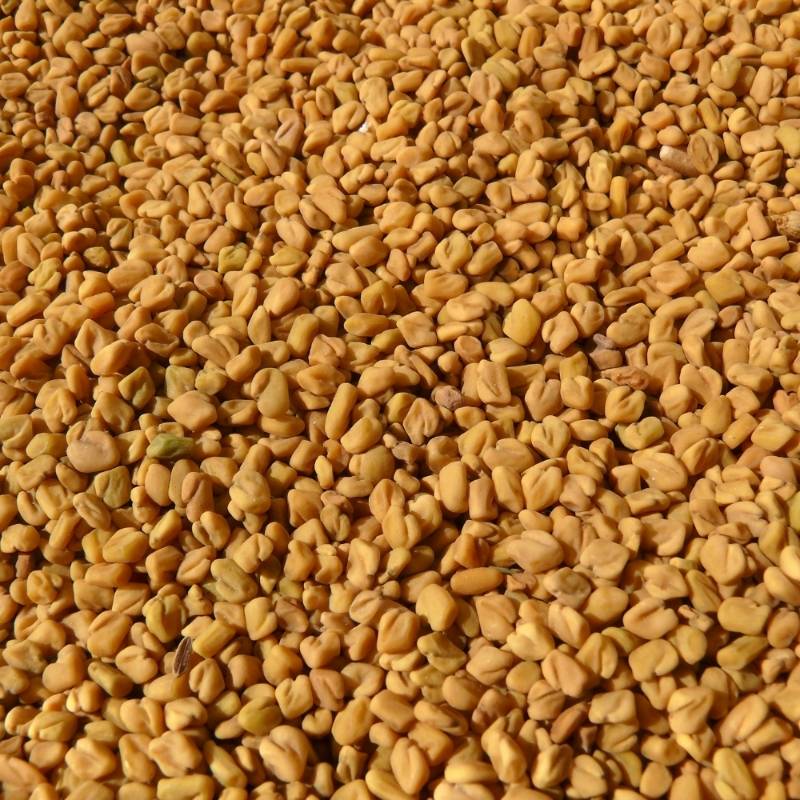 Methi Seeds 100G