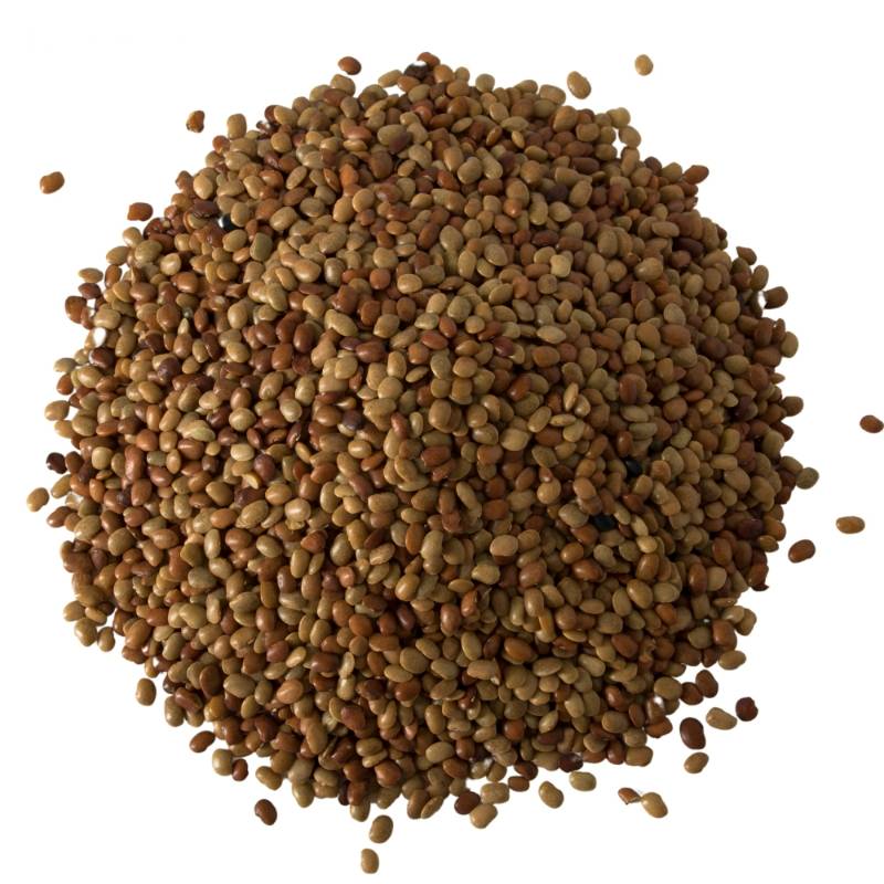Horse Gram