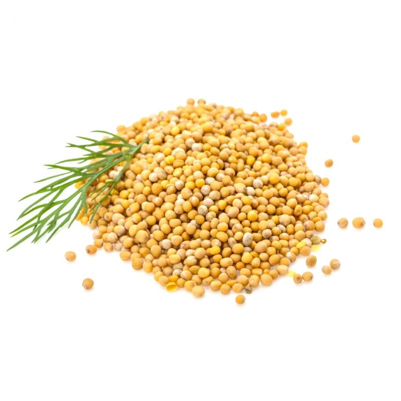 Yellow Mustard Seeds 100G