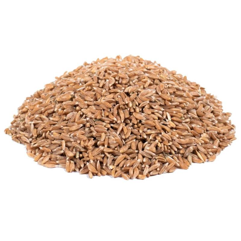 Jave Godhi / Emmer Wheat 1KG