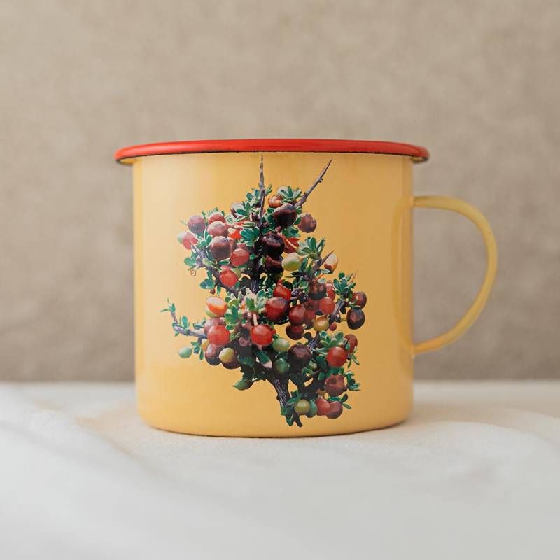 Jug with handles YR