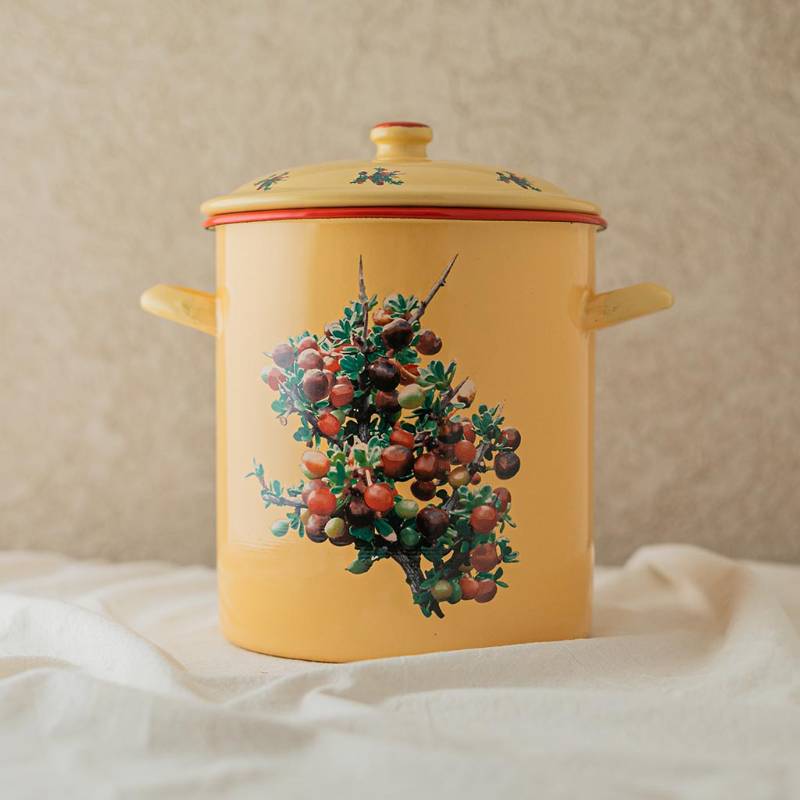 Small Stew Pot YR