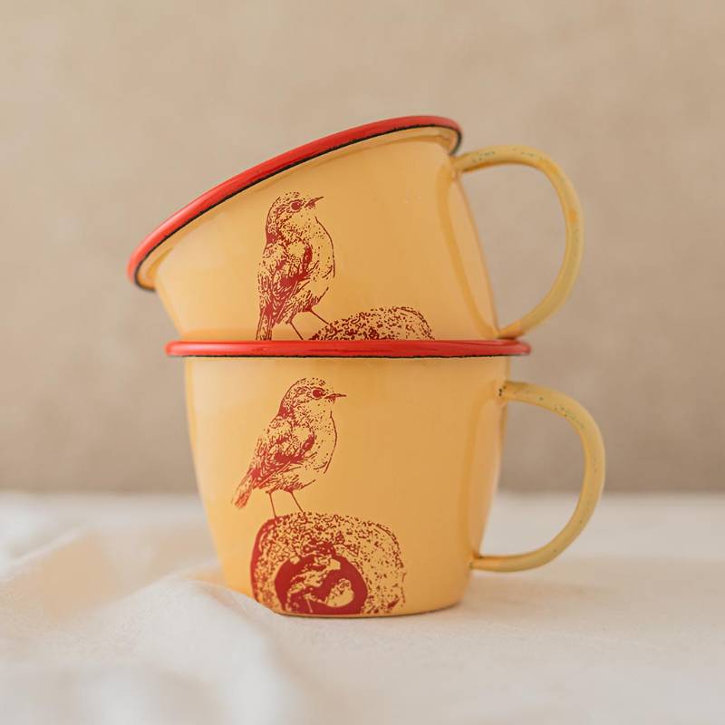 Wide Mug Ovenbird YR