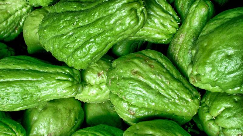 chayote