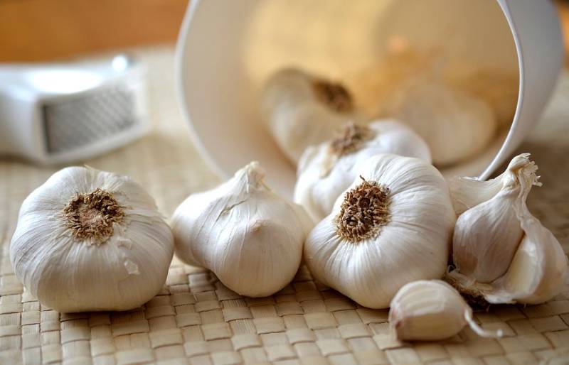 dry garlic