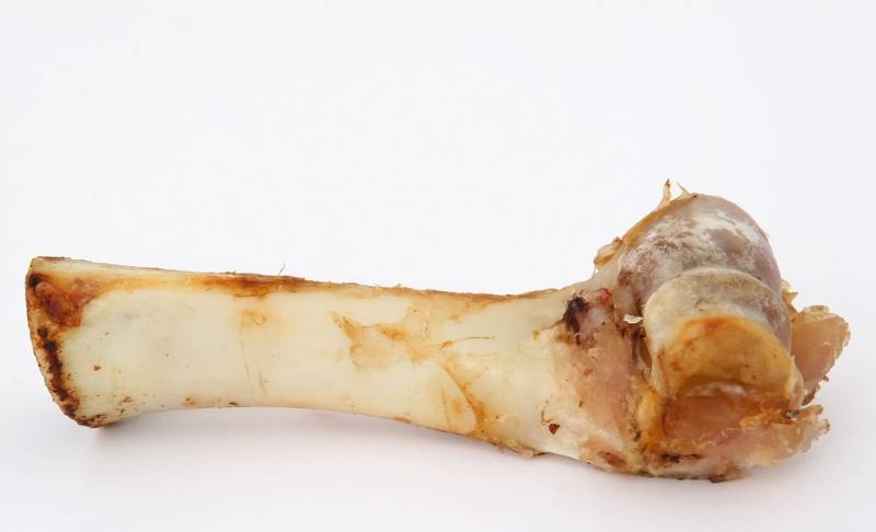 Leg Bone beef