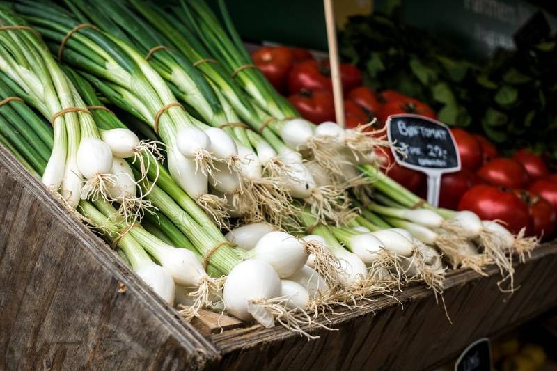 SPRING ONION