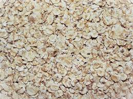 Oat meal