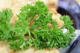 coriander leaf