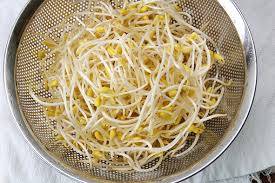 bean sprout