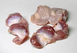 Chicken gizzard
