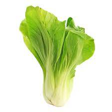 bok choy