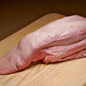 Taunge Slice