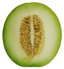 melon