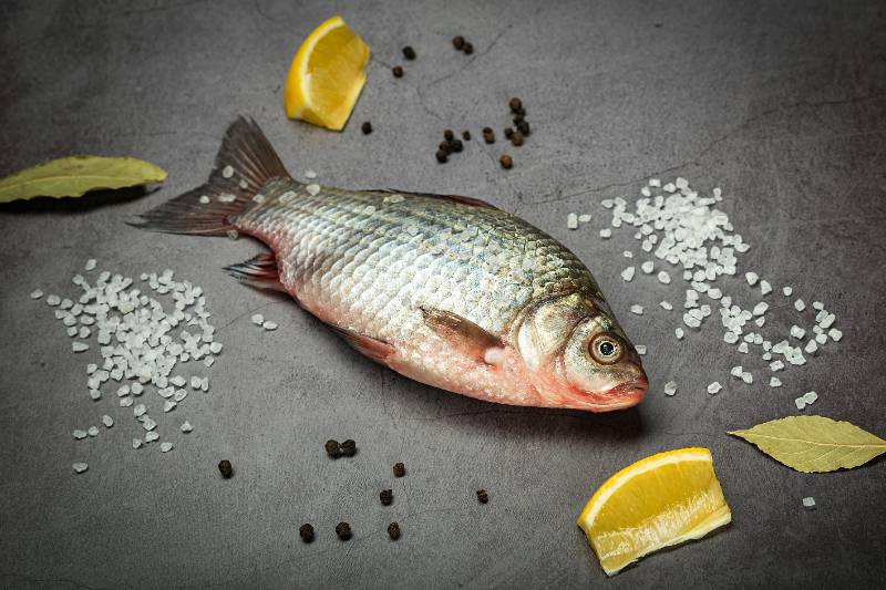 Tilapia Fish