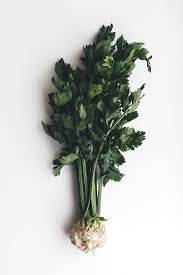 celery