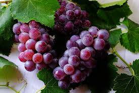 grape