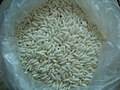 glutinous white rice