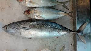 matambaka