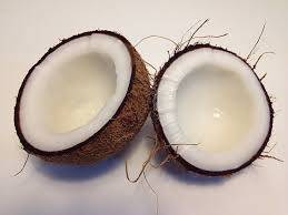 coconut old
