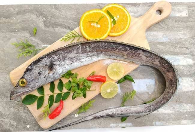 Belt Fish