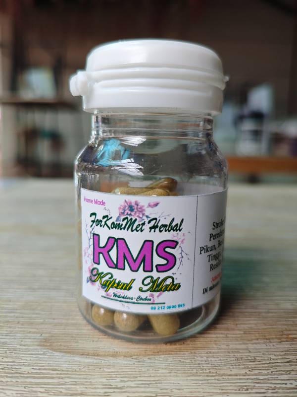 KMS (Kapsul Meta Setruk & Lumpuh)