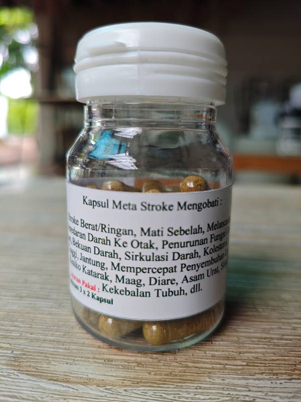 KMS (Kapsul Meta Setruk & Lumpuh)