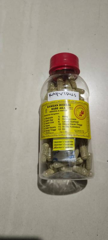 KAPVIRUS (Kapsul Virus)