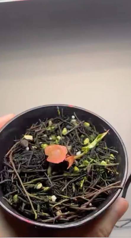 Антуриум §§90 Anthurium Chocolate x RC Clone