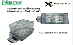 2"x4" Nano RBNS2-NM-CC WEG
