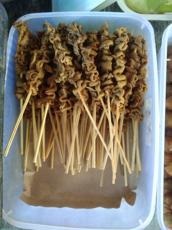 Sate Usus