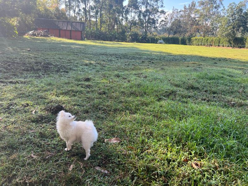 Lote independiente muy cerca al club Llanogrande de 5.545m2