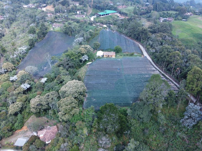 Lote independiente en Cabeceras cerca de Jardines de LLanograde