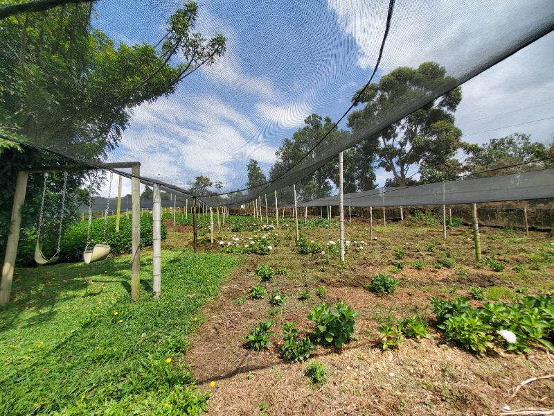 Lote independiente en Cabeceras cerca de Jardines de LLanograde