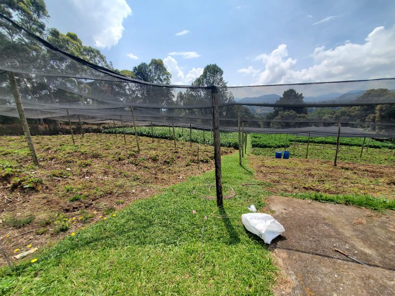 Lote independiente en Cabeceras cerca de Jardines de LLanograde