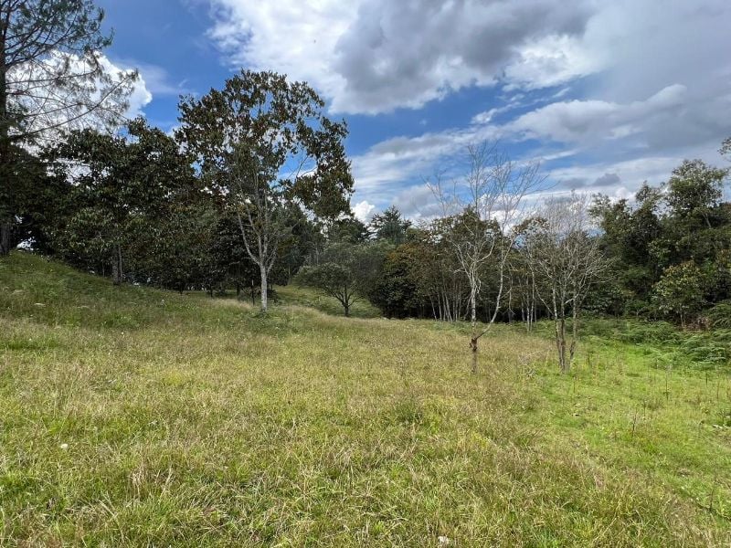 Lote en Pontezuela con vista y gran extensión