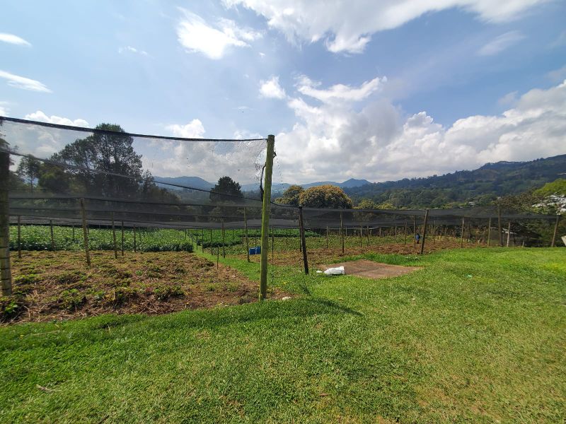 Lote independiente en Cabeceras cerca de Jardines de LLanograde